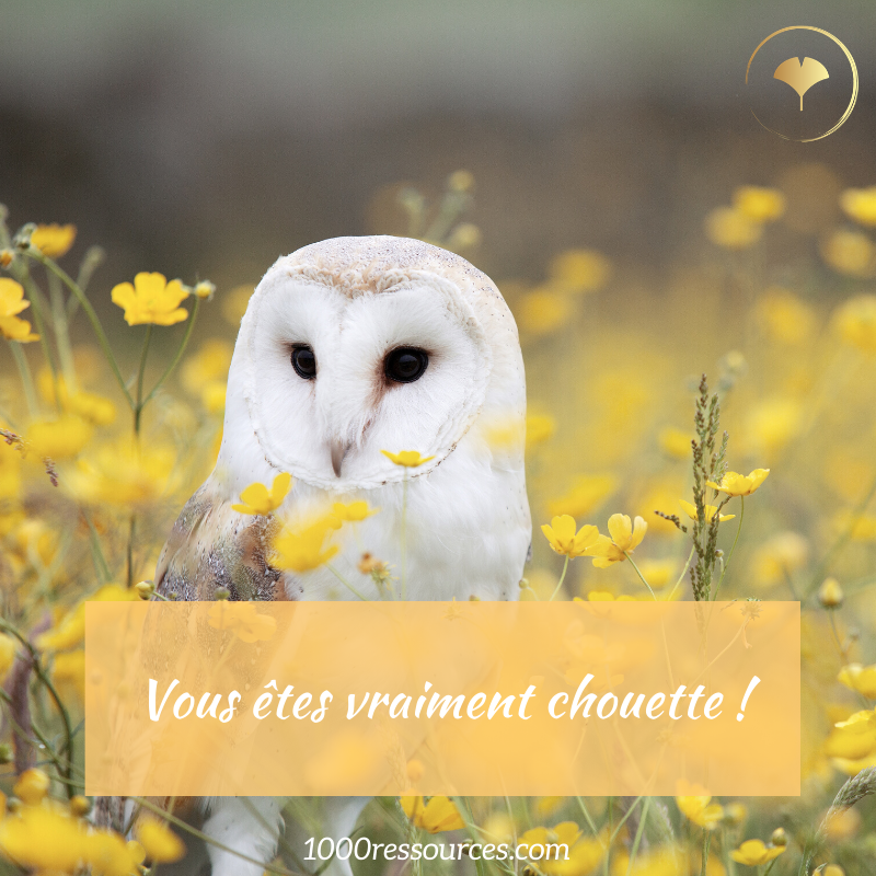 You are currently viewing Comment donner et recevoir des compliments